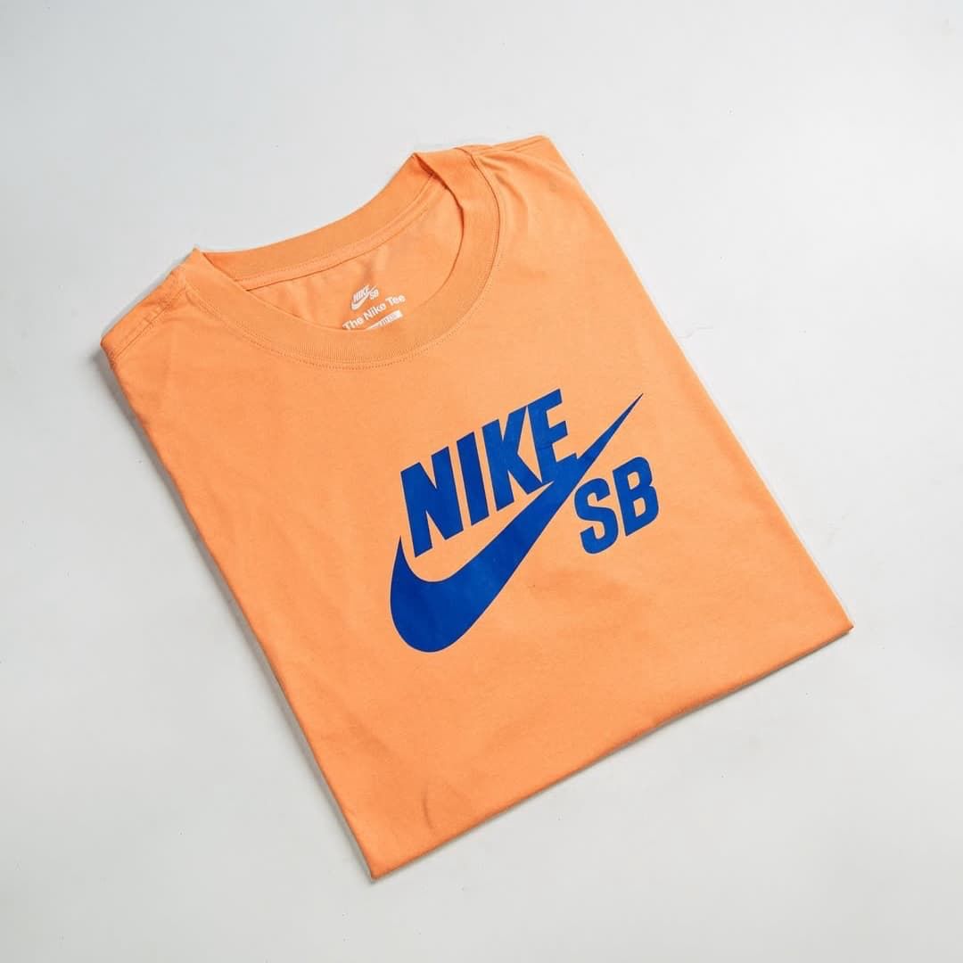 Camiseta Nike Sb Masculina