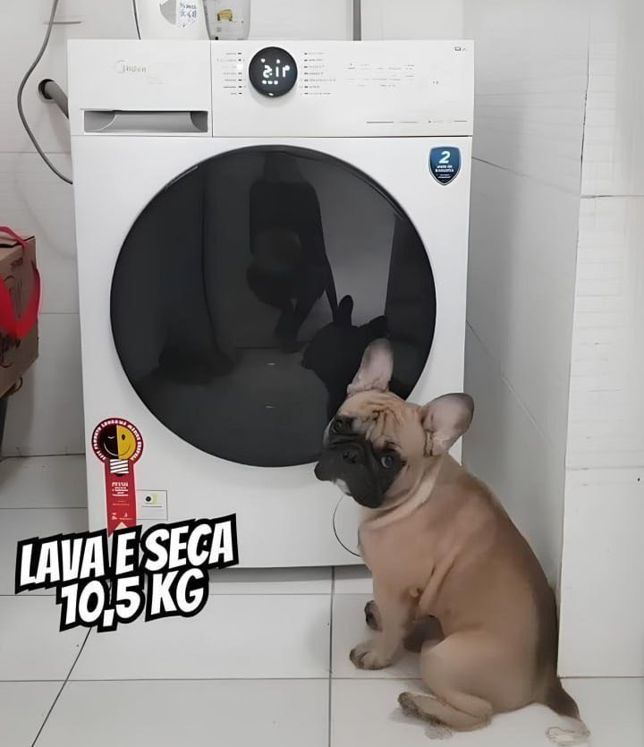 Lava E Seca 10,5kg Branca Midea Healthguard Conectada Cor Branco 